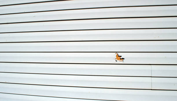 Best Engineered Wood Siding  in August, CA