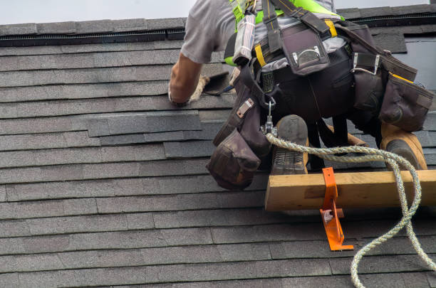 Best Storm Damage Siding Repair  in August, CA
